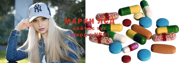 прущие грибы Верхнеуральск