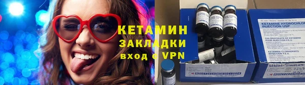 прущие грибы Верея