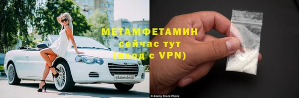 прущие грибы Верея