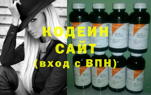 прущие грибы Верея