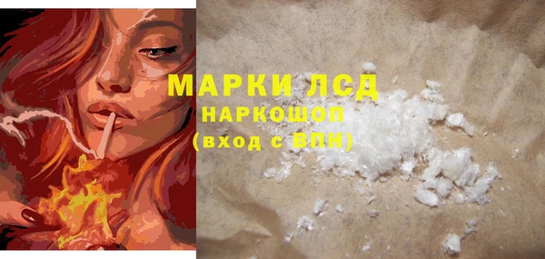 прущие грибы Верея
