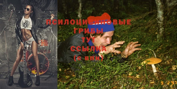 прущие грибы Верея