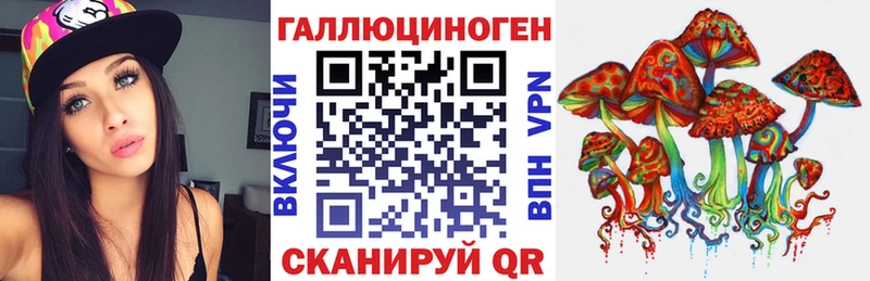 где купить   Крым  Галлюциногенные грибы Psilocybe 